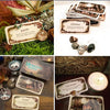 Load image into Gallery viewer, Whispering Woods Cards - Muse Crystals &amp; Mystical Gifts