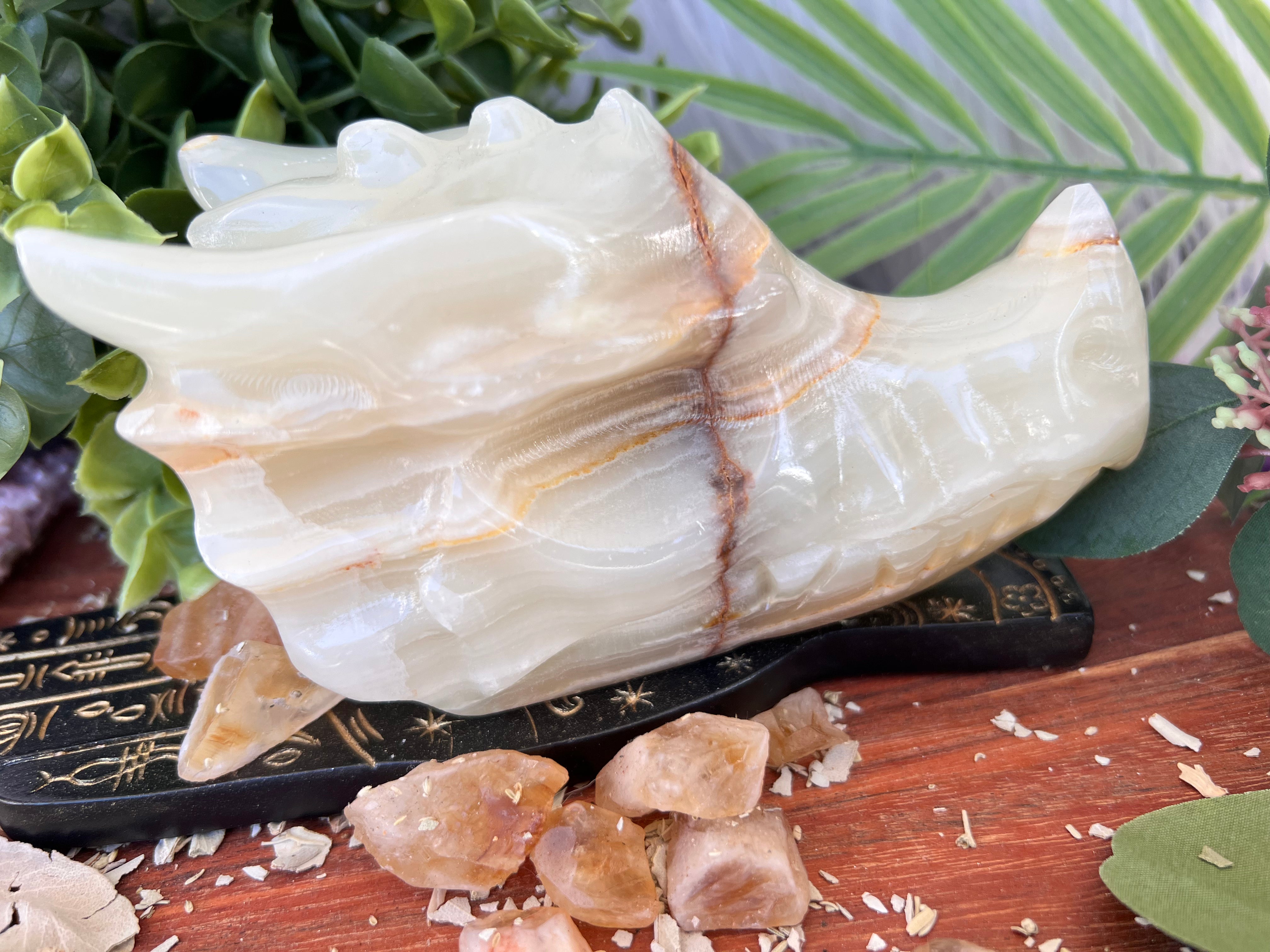 White Jade Dragon Head Large - Muse Crystals & Mystical Gifts