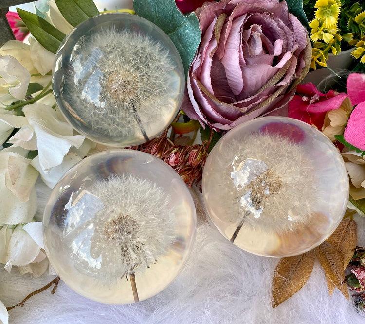 Make A Wish - Dandelion Sphere - Muse Crystals & Mystical Gifts