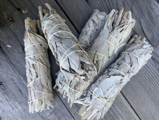 White Sage Smudging Stick - Muse Crystals & Mystical Gifts